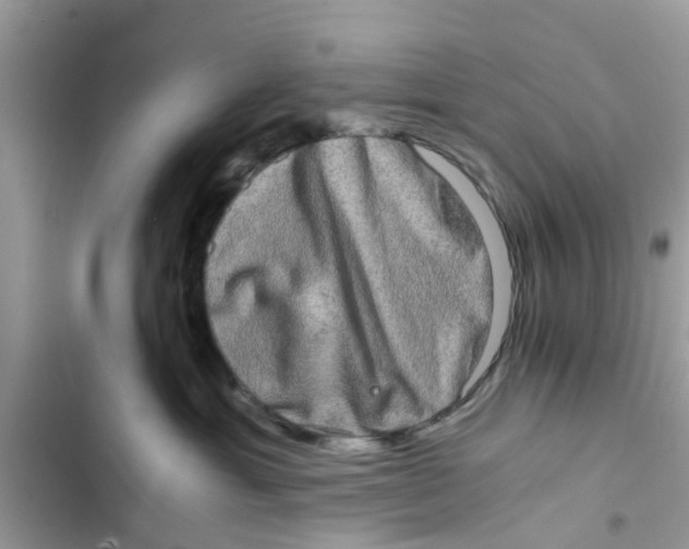X0000103270429200809191747
