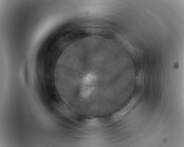 X0000103270430200809191747