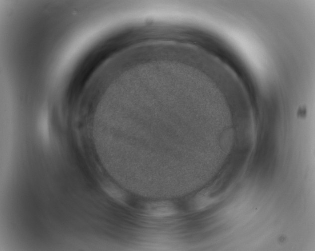 X0000103270431200809191747