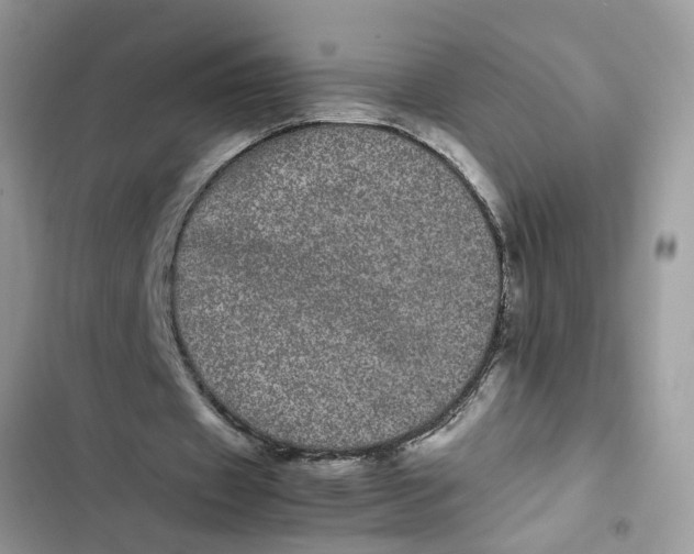 X0000103270433200809191746