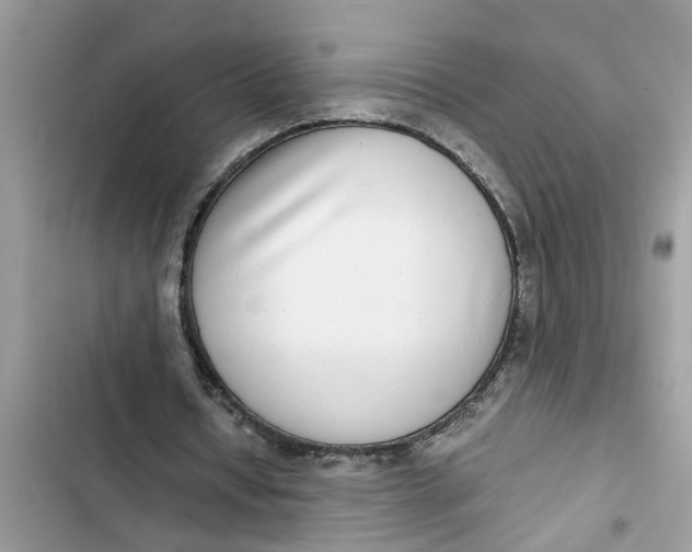 X0000103270434200809191746