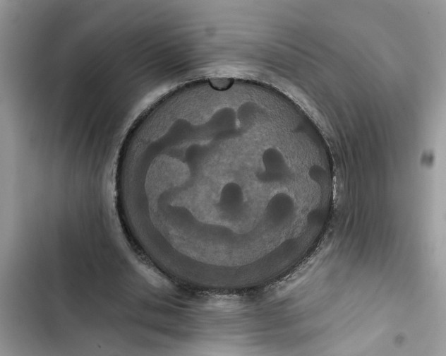 X0000103270438200809191746