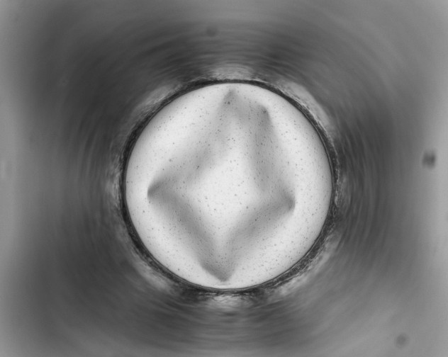 X0000103270441200809191746