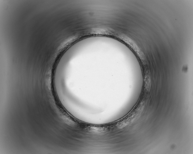 X0000103270442200809191746