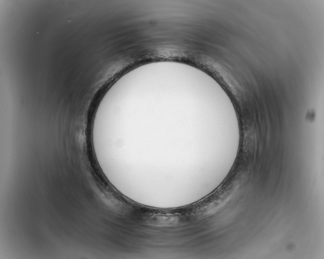 X0000103270443200809191746
