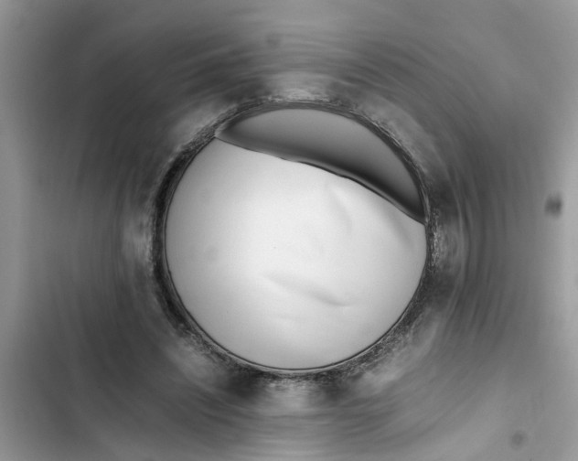 X0000103270444200809191746