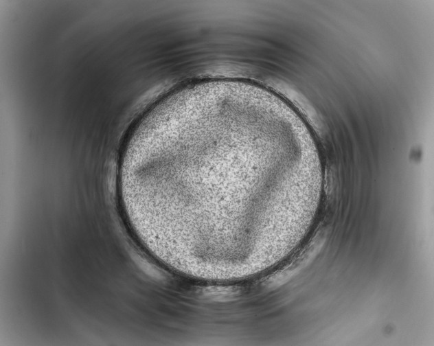 X0000103270445200809191746