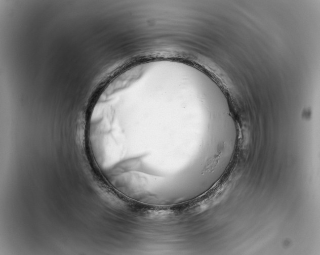 X0000103270446200809191746