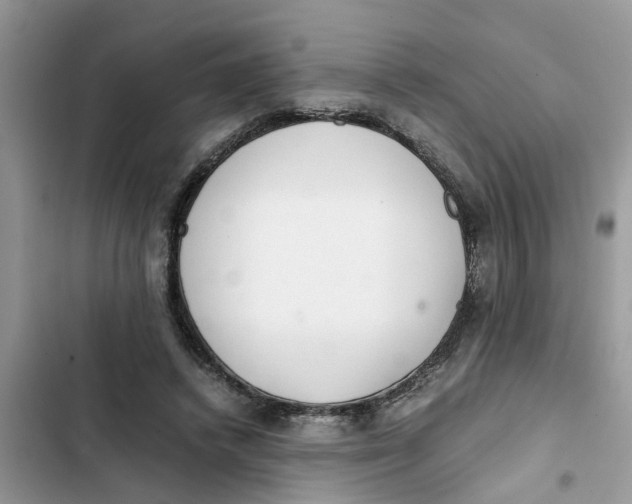 X0000103270448200809191746