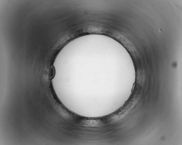 X0000103270449200809191746