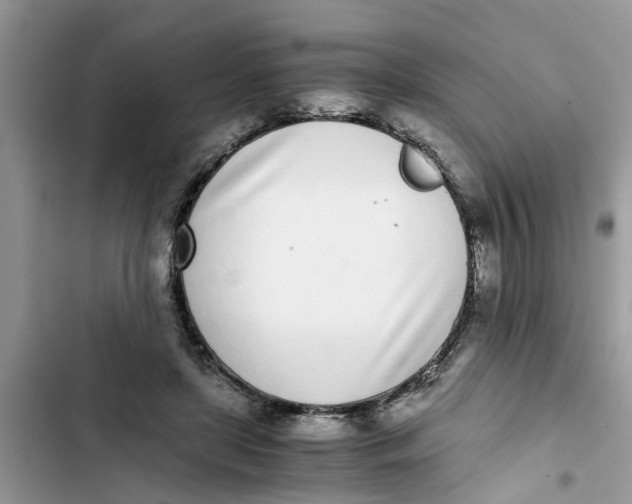 X0000103270451200809191746