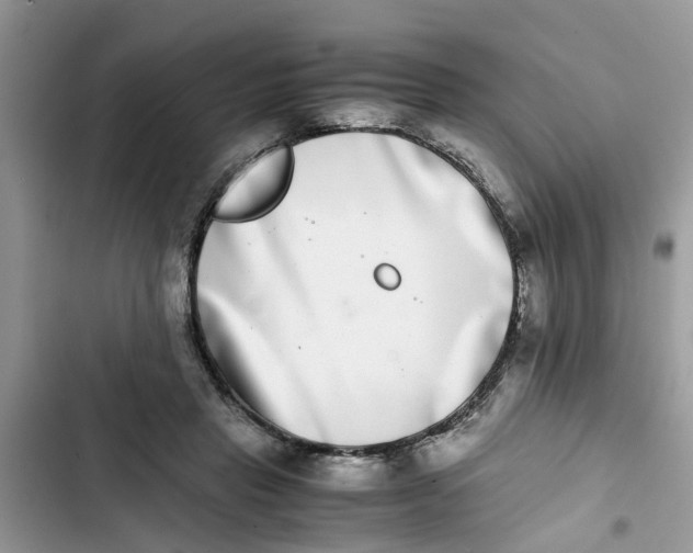 X0000103270453200809191746