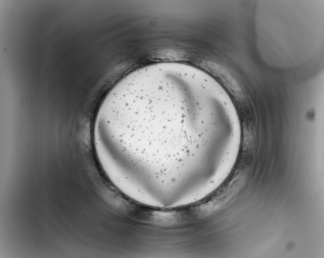 X0000103270457200809191746