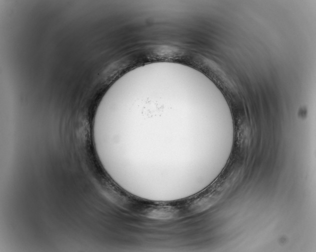 X0000103270459200809191746