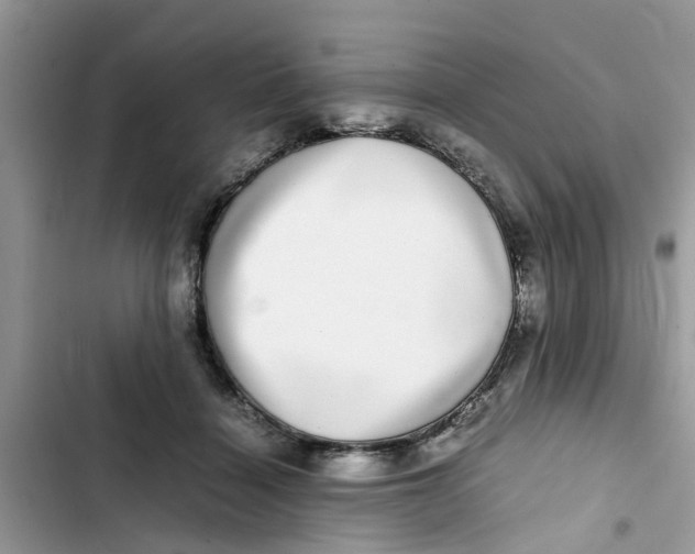 X0000103270460200809191746