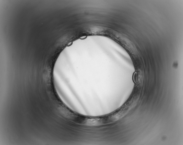 X0000103270461200809191746