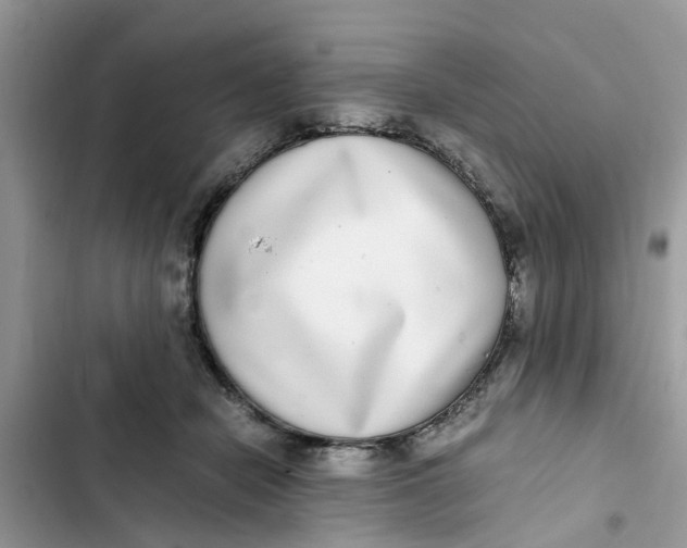 X0000103270462200809191746