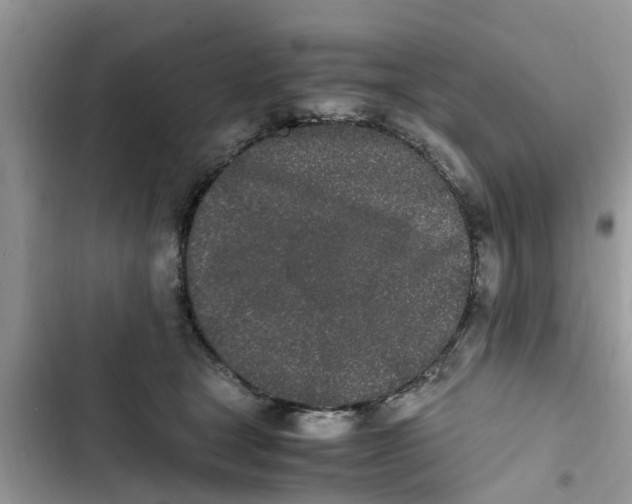 X0000103270465200809191746