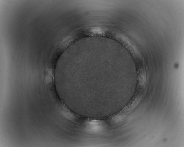 X0000103270467200809191746