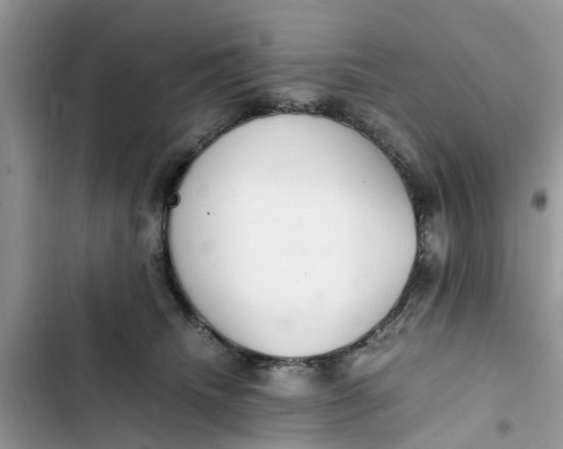 X0000103270468200809191746