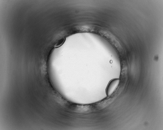 X0000103270469200809191746