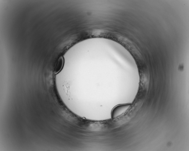 X0000103270470200809191746