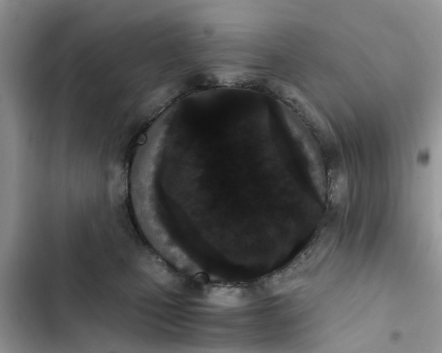 X0000103270471200809191747