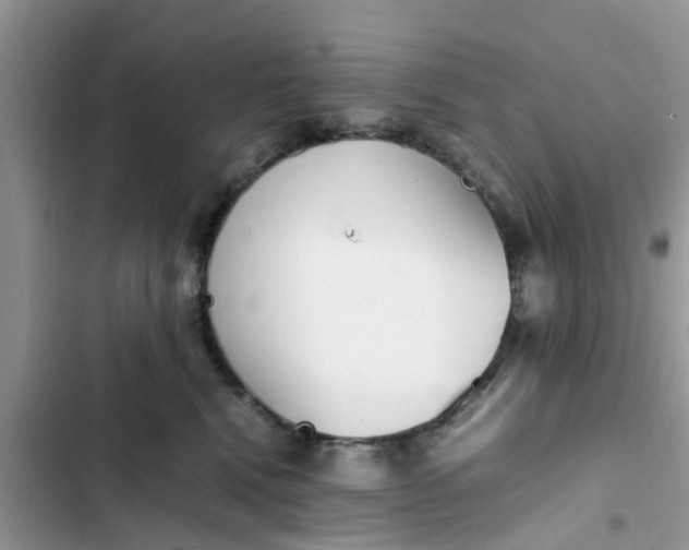 X0000103270472200809191747