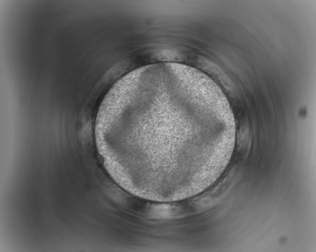 X0000103270473200809191747