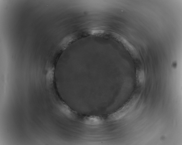 X0000103270475200809191747