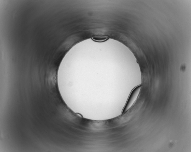 X0000103270479200809191747