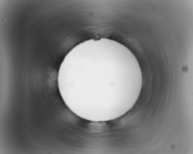 X0000103270480200809191747