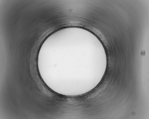 X0000103270481200809191746