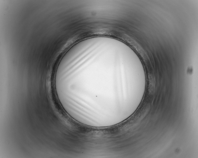 X0000103270482200809191746