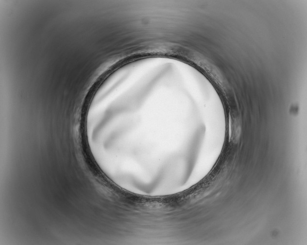 X0000103270483200809191746