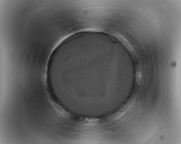 X0000103270484200809191746