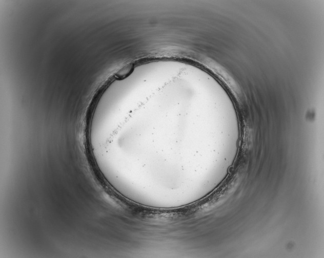 X0000103270485200809191746