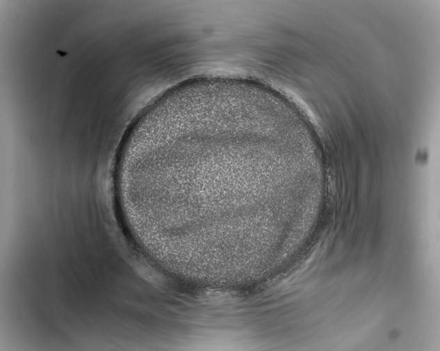 X0000103270487200809191746