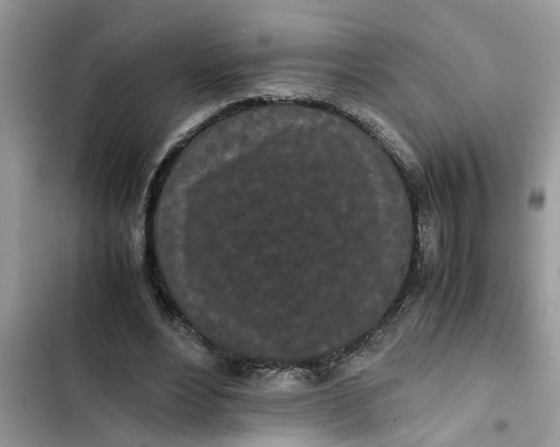 X0000103270488200809191746