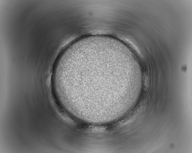 X0000103270491200809191746