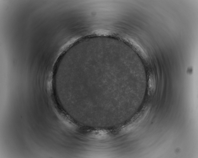 X0000103270492200809191746
