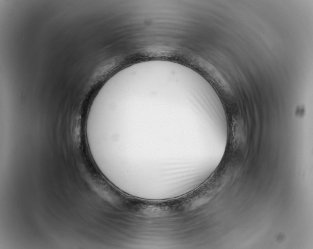 X0000103270494200809191746