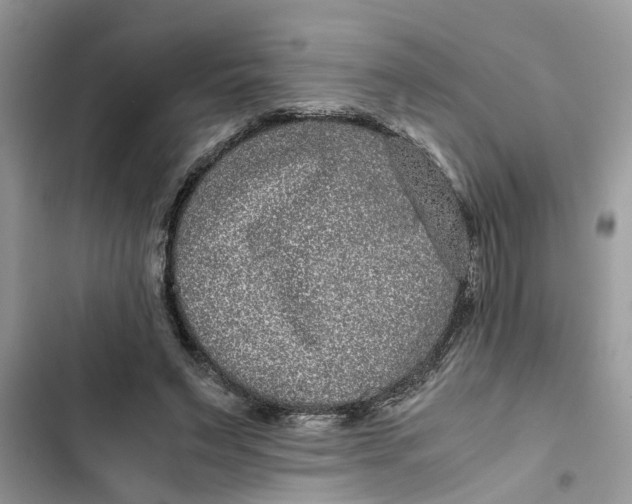 X0000103270495200809191746