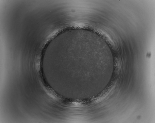 X0000103270496200809191746