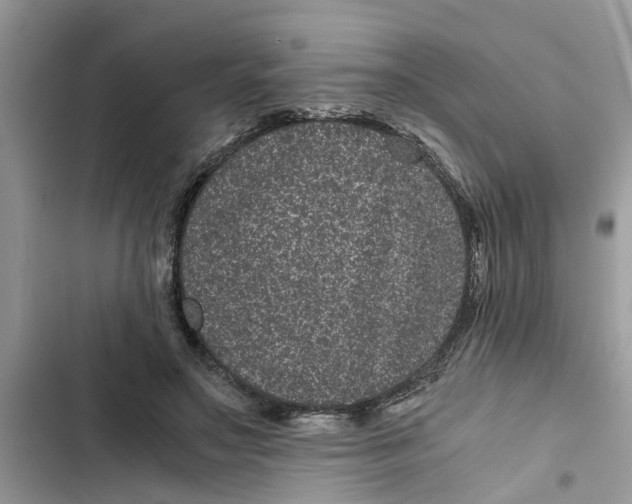 X0000103270499200809191746