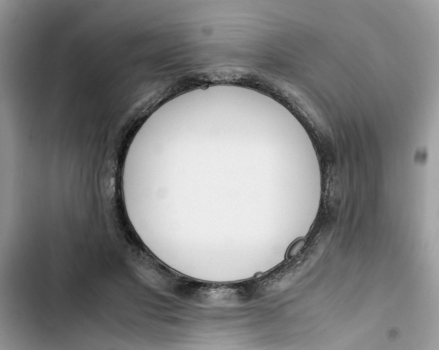 X0000103270501200809191745