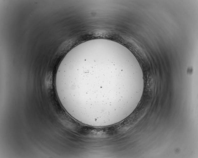 X0000103270502200809191745