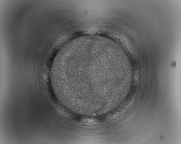 X0000103270503200809191745