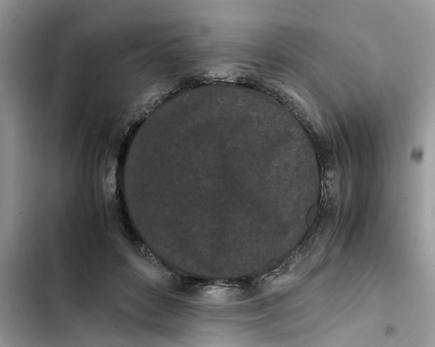 X0000103270504200809191745