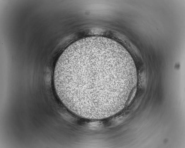 X0000103270505200809191745